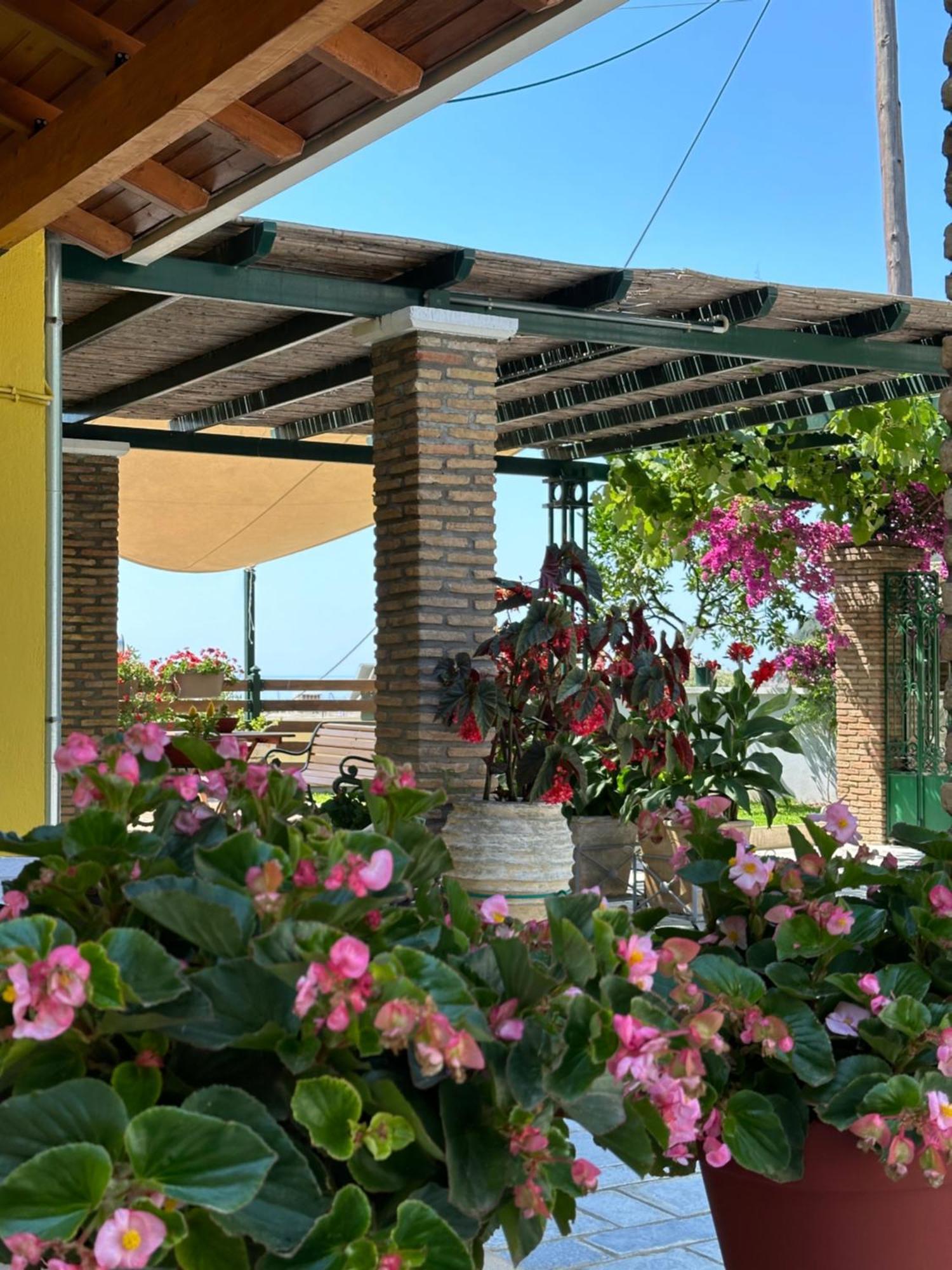 Villa Sofia Парга Екстериор снимка