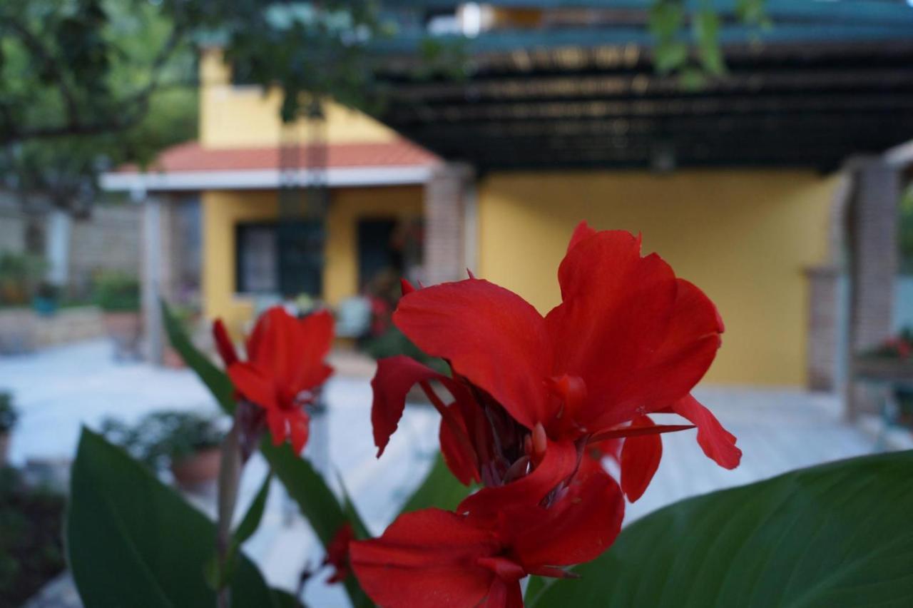 Villa Sofia Парга Екстериор снимка